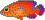 ユカタハタ
